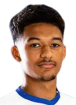 Bertin Jacquesson