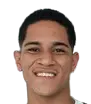 Gustavo Apis Pascoal De Farias