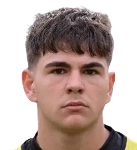Manuel nardozi