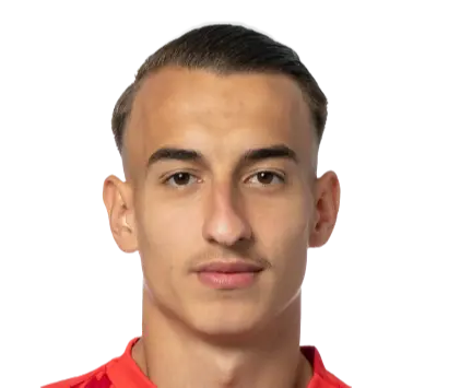 Ardit Destani