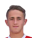 Dominik Kriz