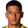 N. Garrido