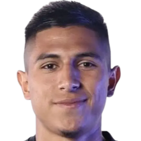 anderson castillo