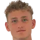 Anton mossnelid