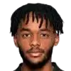 Nasser Al-Bishi