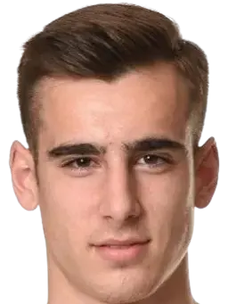Andrija Radulovic