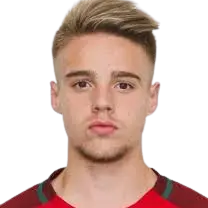 Rui Pedro Fernandes Ferreira