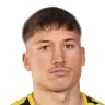 Dario Naamo