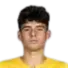 ioan vermesan