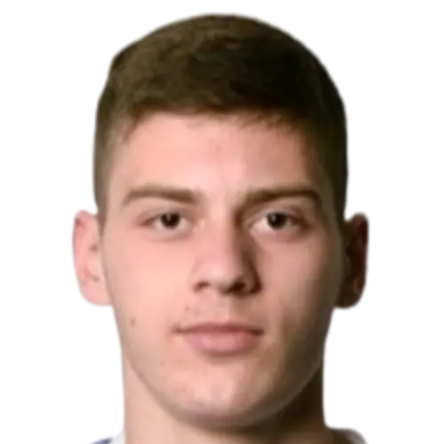 Vladimir Perisic
