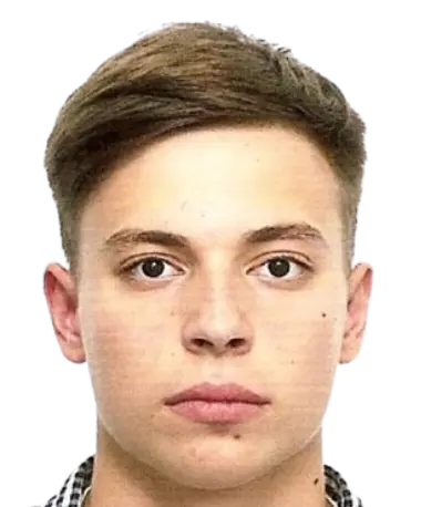 artjom volkov