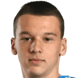 Novak Micovic