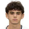 Enea Casadei
