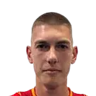 Aleksa karadzic
