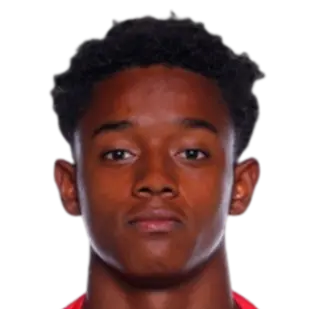Bruninho