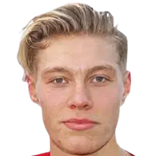 Birnir Snaer Ingason