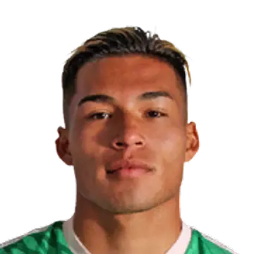 Sebastian Tomas·Meza