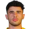 K. Altunışık