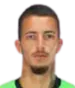 Emerson Fabiano Kerber Junior