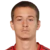 yil gashi