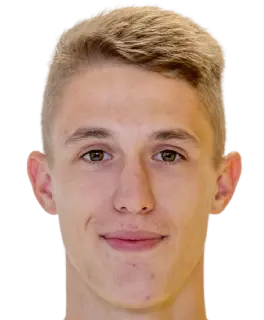 radim dostal