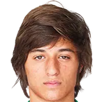 Rui Pedro da Silva e Sousa