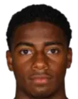 Owen Panneflek