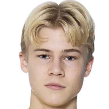 Theo Bergvall