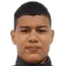 domingo andres perez lopez