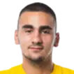 Srdjan Nedic