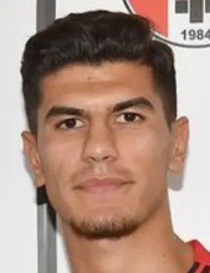 Y. Gök