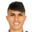 ribeiro vinicius