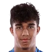 Dominic Vavassori