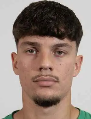 Hamza Samardzic
