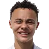Vinícius Rocha