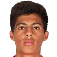 Diogo Capitão
