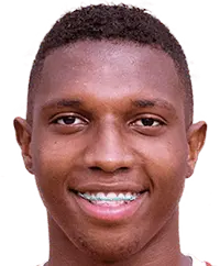 Duvan viafara