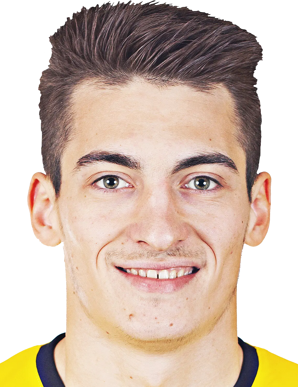 Ion Nicolaescu