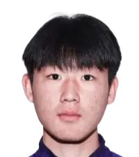 Li Shuaiqi