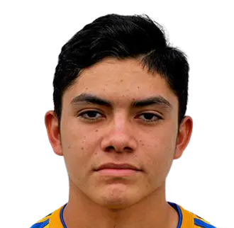 Luis Ronaldo Najera Reyna