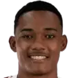 Raykkonen Pereira Soares