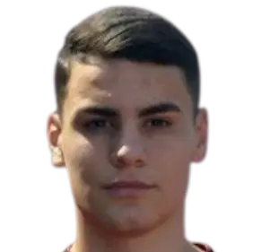Dimitrije jankovic