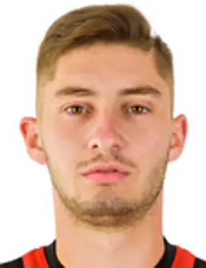 Levente bara