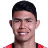 Nicolás Hernández