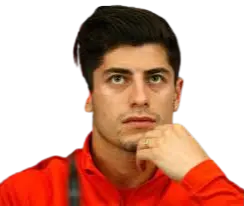 anyelo zagal