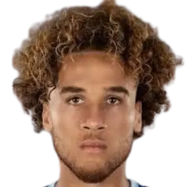 Afonso pinto