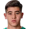 artem zhilin