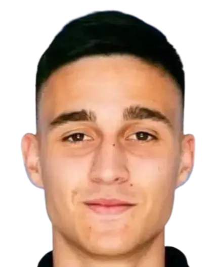 Luka Mikulic