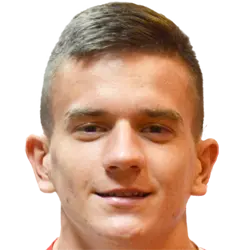 Mirko Topic