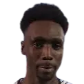 shaquille stein